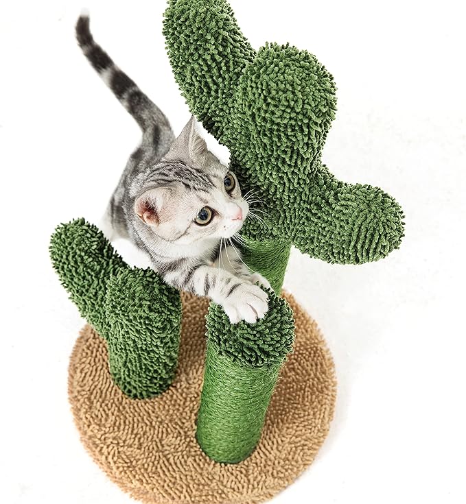Pesofer Cactus Cat Scratching Post Cat Scratcher with 3 Scratching Poles and Dangling Ball for Kitten Medium - PAWPICO