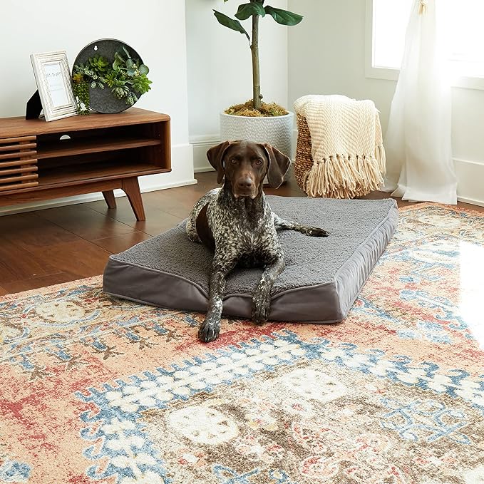 Happy Hounds Oscar Rectangle Orthopedic Foam Sherpa Dog Bed, Medium (42 x 30 in.), Pewter - PAWPICO