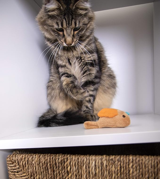 SmartyKat Chickadee Chirp Electronic Sound Cat Toy, Contains Catnip, Battery Powered - Light Brown, One Size - PAWPICO