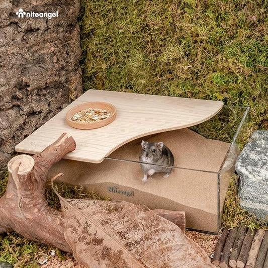 Niteangel Animal Sand-Bath Box: - Acrylic Critter's Sand Bath Shower Room & Digging Sand Container for Hamsters Mice Lemming Gerbils or Other Small Pets (Rectangle, Burlywood) Niteangel