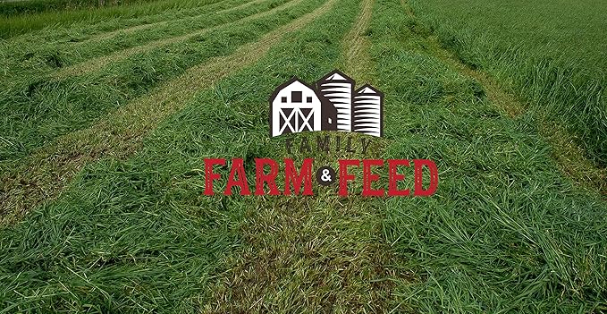 | Timothy Grass Food | Small Pet | Young and Adult | Cubes | 3 Pounds FAMILY+FARM+AND+FEED