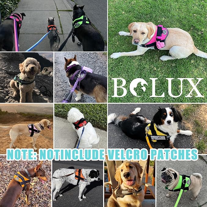 Bolux Dog Harness, No-Pull Reflective Dog Vest, Breathable Adjustable Pet Harness with Handle for Outdoor Walking - No More Pulling, Tugging or Choking Bolux