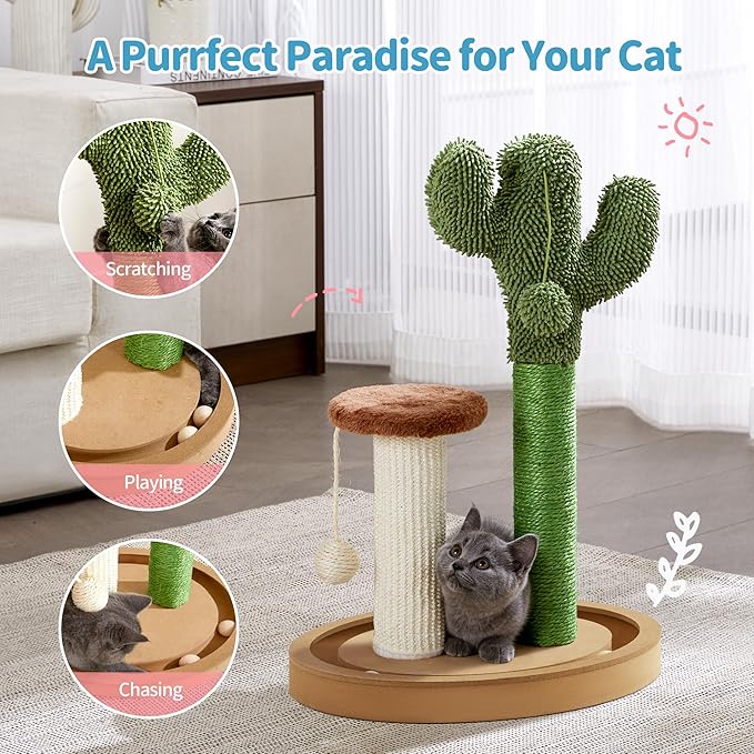 Made4Pets Cat Scratching Post, 21.7" Cactus Kitten Scratcher for Indoor Cats, Mushroom Cute Cat Tree with Sisal Scratch Post, Interactive Game Track Balls with Sturdy Wood Base for Small Kitty - PAWPICO