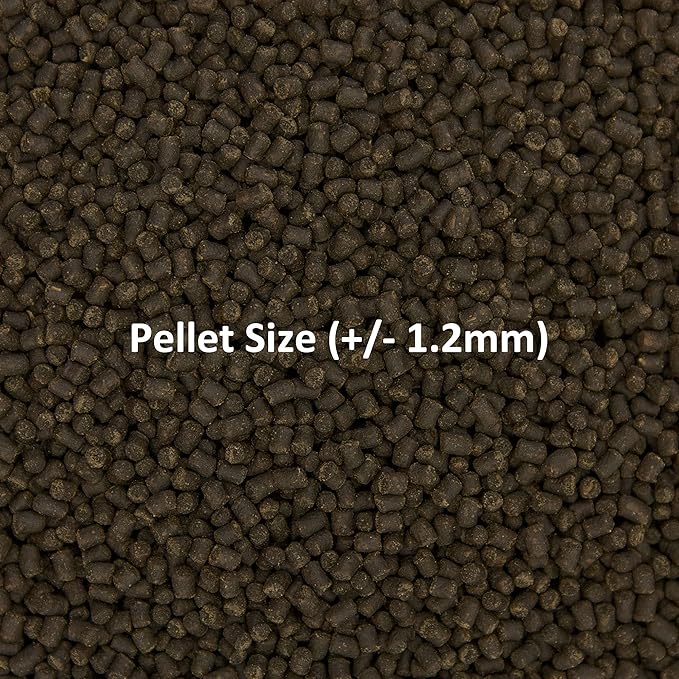 Ocean Nutrition Formula Two Pellets - Fish Food for Herbivorous & Omnivorous Marine Tropical Fish, High Protein(40%) - 3.5 oz (100 g) Small Pellets OceanNutrition