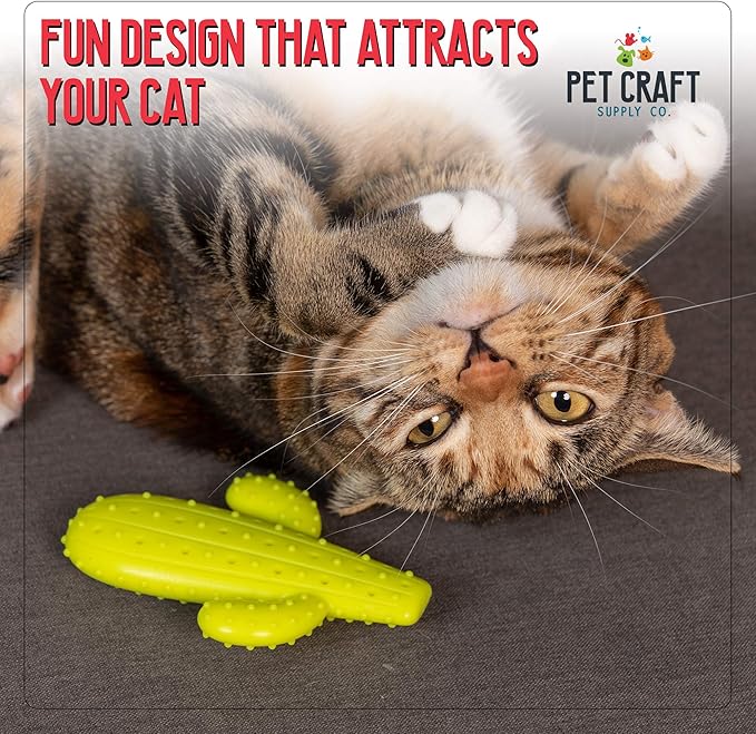 Pet Craft Supply Cactus Interactive Cat Toy Chew Toy Teeth Cleaning Bite Resistant 100% Natural Rubber with Bonus Catnip and Silvervine Bags for Kittens and Adult Cat - PAWPICO
