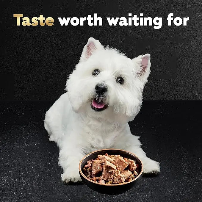 CESAR Soft Wet Dog Food Loaf in Sauce Rotisserie Chicken Flavor with Bacon & Cheese and Filet Mignon Flavor with Bacon & Potato Variety Pack, (12) 3.5 oz. Easy Peel Trays, Pack of 2 - PAWPICO