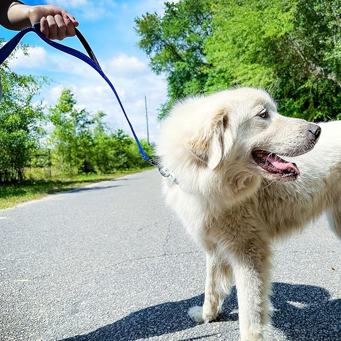 Joytale Dog Leash Heavy Duty for Large Dogs That Pull, Double Handle for Traffic Control, Double-Sided Reflective Leashes for Large Medium Dogs Night Safety, 5FT, Royal Blue Joytale