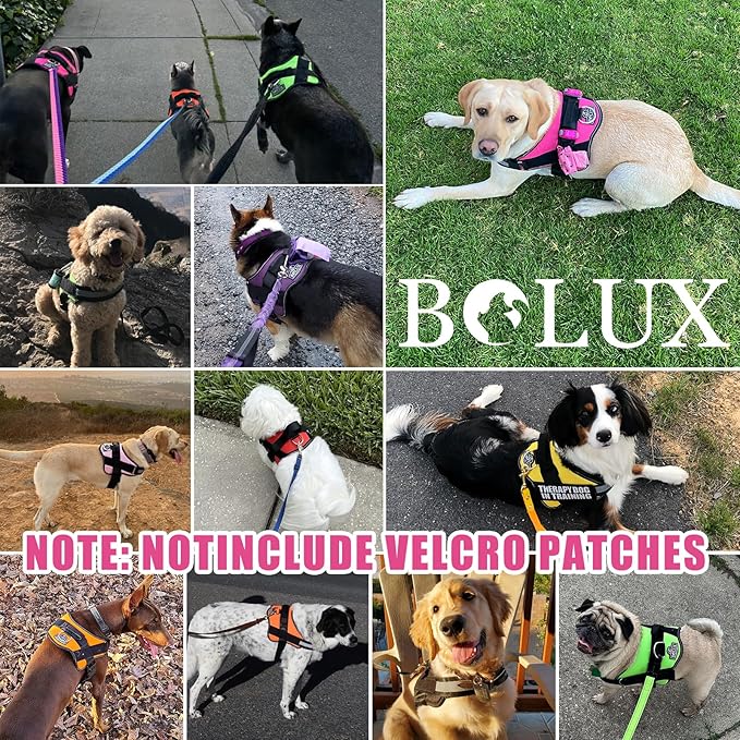 Bolux Dog Harness, No-Pull Reflective Dog Vest, Breathable Adjustable Pet Harness with Handle for Outdoor Walking - No More Pulling, Tugging or Choking (Fuchsia, XX-Large (Pack of 1)) Bolux