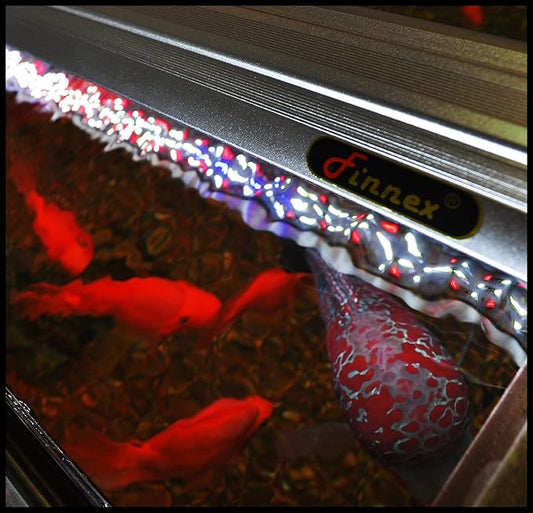Finnex Planted+ 2.0 Aquarium LED Light, 660nm Plant Light, Moonlights Finnex