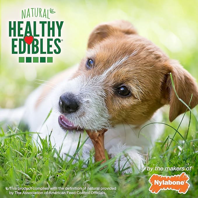 Nylabone Healthy Edibles Wild Natural Long-Lasting Bison Flavor Bone Chew Treats for Dogs, Small (16 Count) (Pack of 2) - PAWPICO