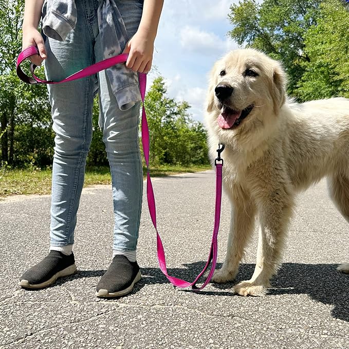 Joytale Dog Leash Heavy Duty for Large Dogs That Pull, Double Handle for Traffic Control, Double-Sided Reflective Leashes for Large Medium Dogs Night Safety, 6FT, Hot Pink Joytale
