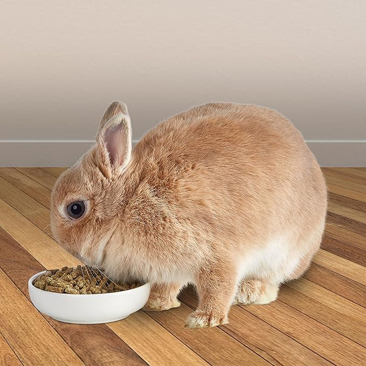 Kaytee Timothy Complete Rabbit Food 4.5 lb Kaytee