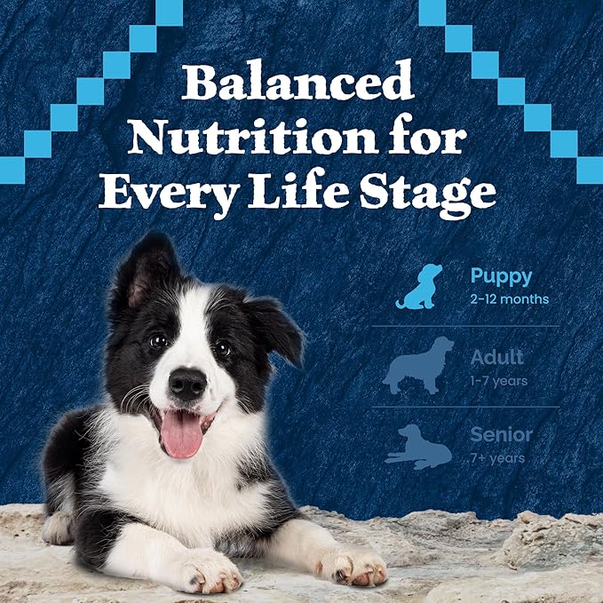 Blue Buffalo Wilderness High-Protein Rocky Mountain Recipe Dry Food for Puppies, Red Meat & Grains, 4.5-lb. Bag - PAWPICO