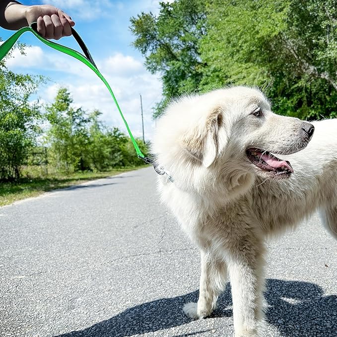 Joytale Dog Leash Heavy Duty for Large Dogs That Pull, Double Handle for Traffic Control, Double-Sided Reflective Leashes for Large Medium Dogs Night Safety, 4FT, Green Joytale