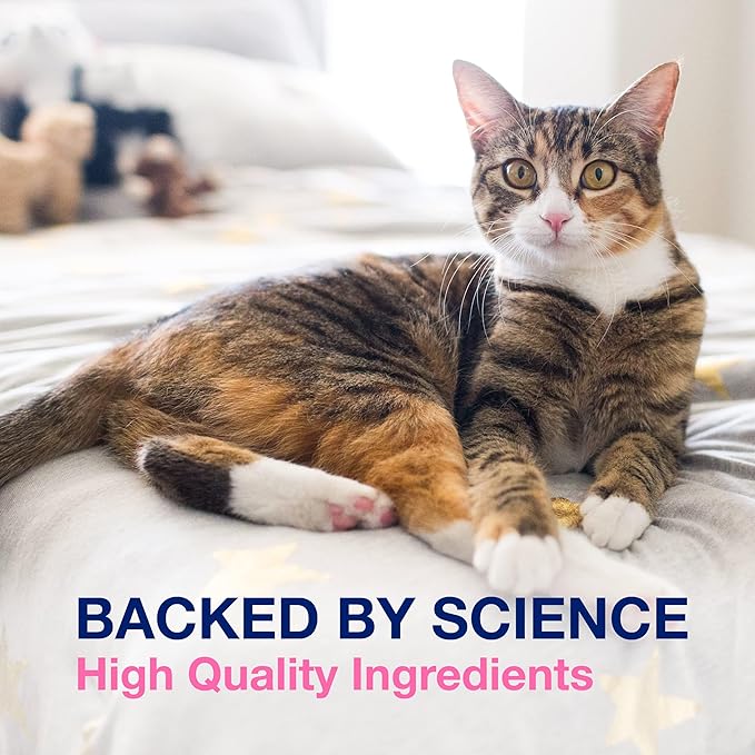 Nutramax Proviable Digestive Health Supplement Multi-Strain Probiotics and Prebiotics for Cats and Dogs - with 7 Strains of Bacteria, 80 Capsules, blue NutramaxLaboratories