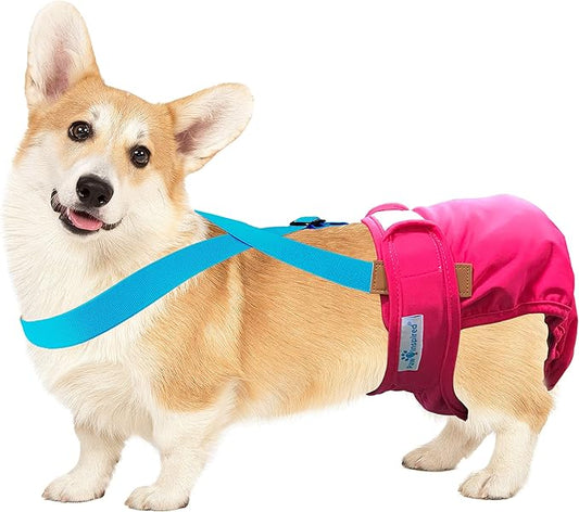 Paw Inspired Dog Diaper Suspenders with Velcro Fasteners | Stretchy Adjustable Suspenders for Female and Male Disposable and Washable Diapers | Fits Small, Medium and Large Size Pets (M/L, Blue) - PAWPICO
