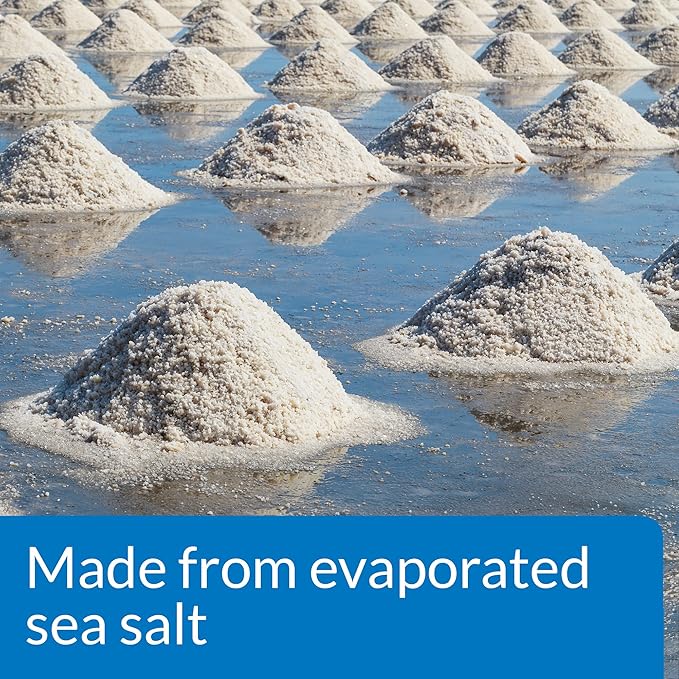 API AQUARIUM SALT Freshwater Aquarium Salt 50-Pound Box API