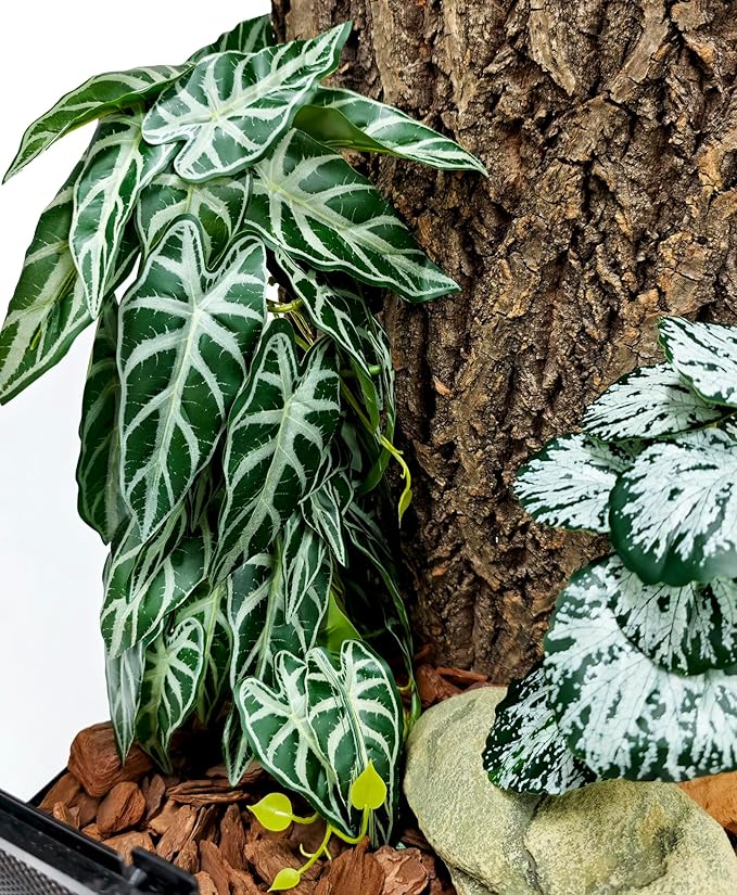 Woyrise 2 Pack Reptile Plants, Terrarium Hanging Plant Vines, Artificial Leaves with Suction Cup, Bearded Dragon Tank Accessories for Gecko Lizard Snake Frog Tortoise Decorations - Alocasia Velvet Woyrise