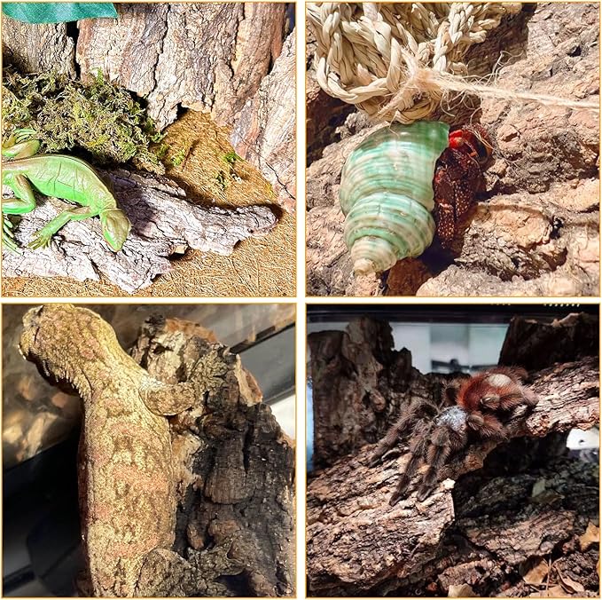 BNOSDM Reptile Terrarium Bark Substrate Bedding Tortoise Natural Cork Bark Reptile Climbing Mat Habitat Decor for Lizard Snake Spiders Hermit Crabs Tarantula Geckos Bearded Dragons (1.4 LB) BNOSDM