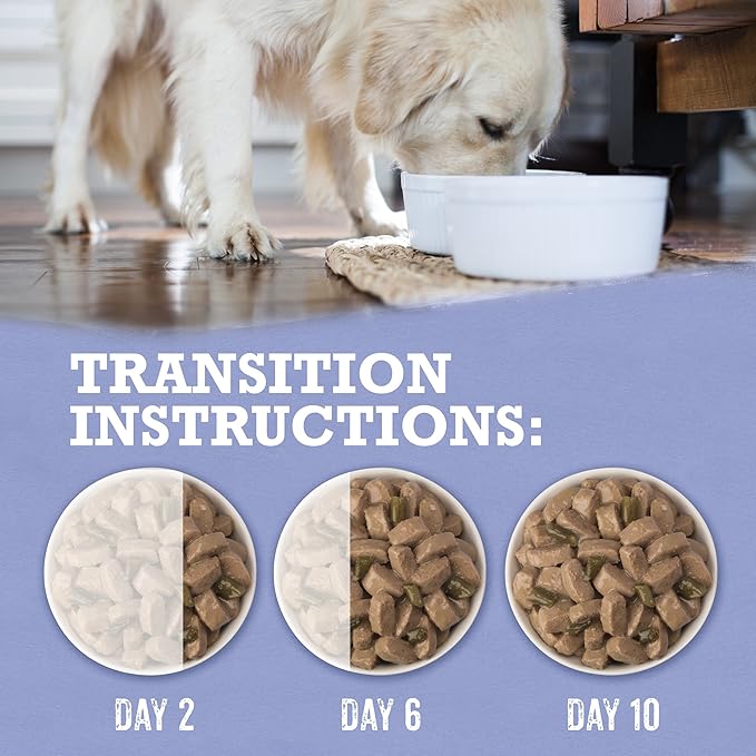 Beyond Purina Grain Free Gravy Wet Dog Food, Grain Free Turkey & Green Bean Recipe in Gravy - (12) 12.5 oz. Cans (Pack of 2) - PAWPICO