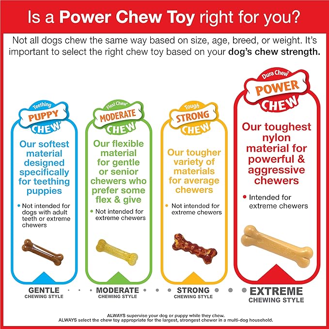 Nylabone Power Chew Flavor Frenzy Bone Chew Toy for Dogs, Chew Toys for Aggressive Chewers, Pancakes & Sausage, Roast Beef Club, & Lasagna Flavor, X-Small/Petite - Up to 15 lbs. (3 Count) - PAWPICO