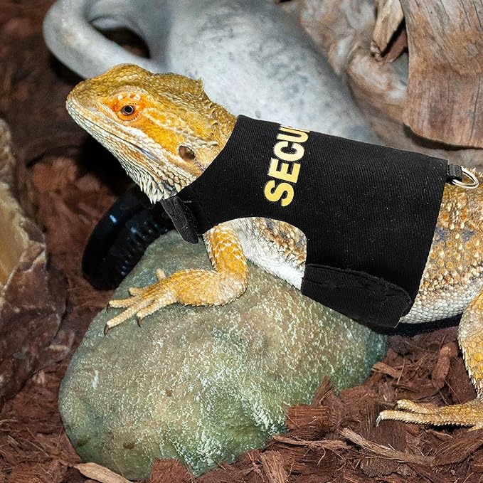 Bearded Dragon Harness and Leash Set - Escape Proof Adjustable Lizard Reptiles Harness with 5 ft Short Leash for Walking Outdoor tukoaw