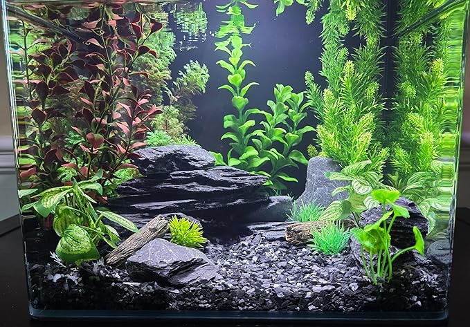 Natural Slate Stones 8 to 10 Inches - USA Sourced and Packaged for Aquascaping Aquariums, Terrariums, Paludariums, Reptile Enclosures, and Gardens (16-18 lbs) SmallWorldSlateandStone