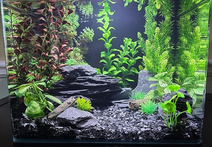 Natural Slate Stones 8 to 10 Inches - USA Sourced and Packaged for Aquascaping Aquariums, Terrariums, Paludariums, Reptile Enclosures, and Gardens (8-9 lbs) SmallWorldSlateandStone