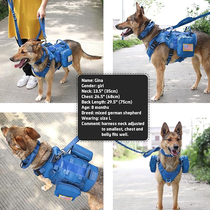 Forestpaw Tactical Dog Harness for Large Dogs,Tactical Dog Collar with Bungee Leash Set,No Pull Military Dog Harness for Dog Walking Training,Adjustable for Medium Large Dogs,Blue M Forestpaw