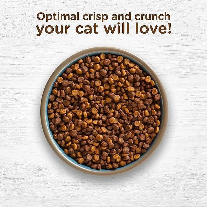 Nutrish Rachael Ray Premium Natural Dry Cat Food with Added Vitamins, Minerals & Other Nutrients, Real Salmon & Brown Rice Recipe, 6 Pound Bag - PAWPICO