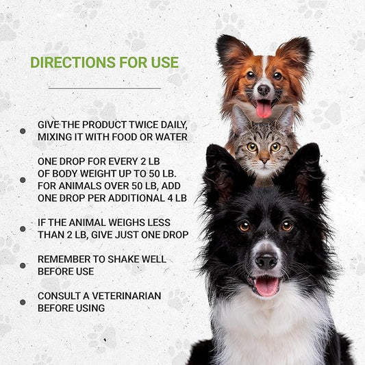 Lion's Blood Pressure | Natural Herbal Dietary Supplement for Cats | Healthy Blood Pressure Support in Cats | Alcohol-Free Extract, Hawthorn, Buchu, Garlic, Celery 2 oz SecretsOfTheTribe