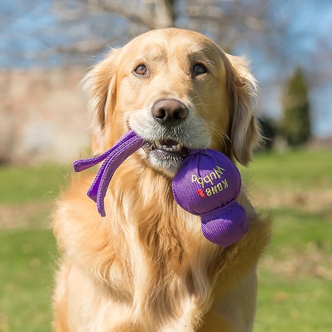KONG Wubba - Dog Toy for Tug of War & Fetch - Dog Supplies for Puppy & Dog Playtime - Outdoor & Indoor Dog Toy - for Large Dogs - PAWPICO