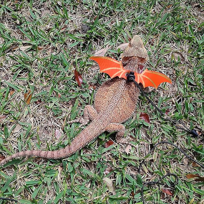 ADOGGYGO Bearded Dragon Leash Harness, 3 Size Pack Orange Leather Wing Lizard Harness with Removable Lizard Leash for Bearded Dragon Lizard Reptiles (Orange) ADOGGYGO