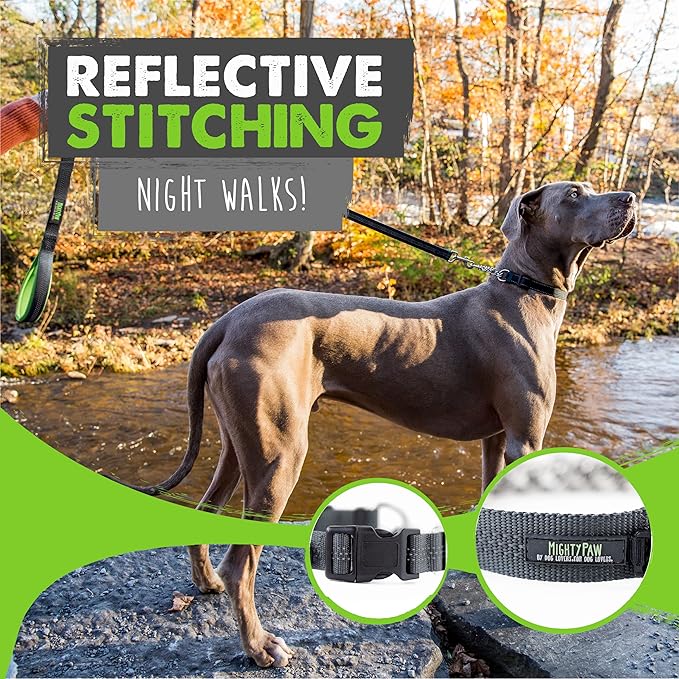 Mighty Paw Martingale Dog Collar 2.0 | Trainer Approved Limited Slip Collar with Stainless Steel Chain & Heavy Duty Buckle - Modified Cinch Collar for Gentle & Effective Pet Training - Small, Grey MightyPaw