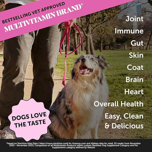 Pet Honesty Dog Multivitamin Supplement with Salmon Oil for Dogs - Allergy Itch Relief, Digestion, Skin & Coat Health, Liquid Supplement - Dog Food Topper Bone Broth with Prebiotics (12 oz) PetHonesty