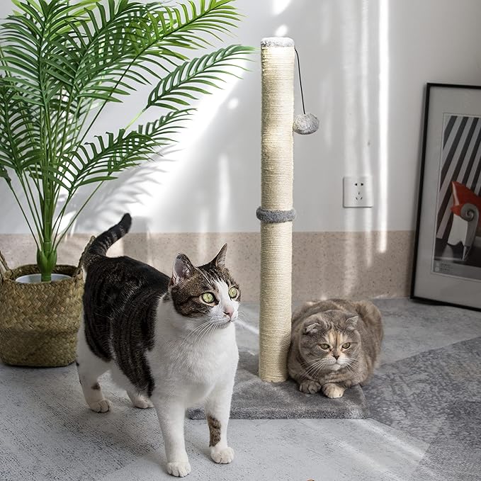29 Inches Cat Scratching Post, Cat Scratch Post Kitten Scratcher with Sisal Rope, Scratching Post for Indoor Cats with Hanging Ball - PAWPICO