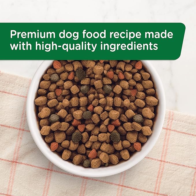 Rachael Ray Nutrish Bright Puppy Premium Natural Dry Dog Food, Real Chicken & Brown Rice Recipe, 6 Pounds (Packaging May Vary) - PAWPICO