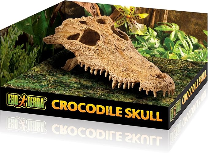 Exo Terra Croc Skull Terrarium Decor LQ - Ideal for Reptiles & Amphibians | Secure Hiding Place, Multiple Entrances, Perfect for Desert & Rainforest Setups | Adds Exciting Accent to Any Habitat ExoTerra