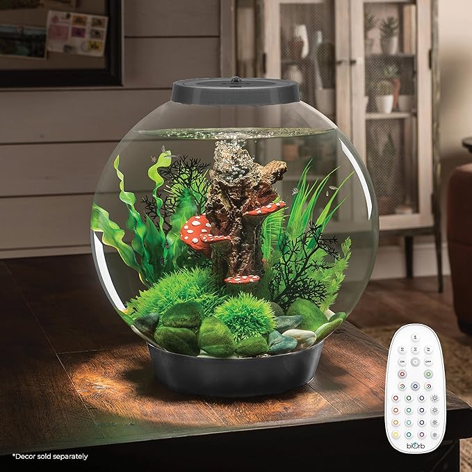 biOrb Classic 30 Acrylic 8-Gallon Aquarium with Multi-Color Remote-Controlled LED Lights Modern Tank for Tabletop Display, Silver biOrb