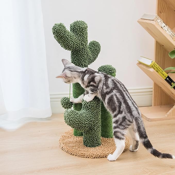 Pesofer Cactus Cat Scratching Post Cat Scratcher with 3 Scratching Poles and Dangling Ball for Kitten Medium - PAWPICO