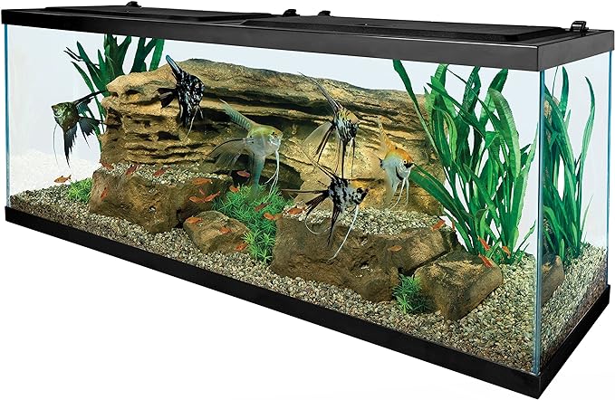 Tetra 55 Gallon Aquarium Kit with Fish Tank, Fish Net, Fish Food, Filter, Heater and Water Conditioners Tetra