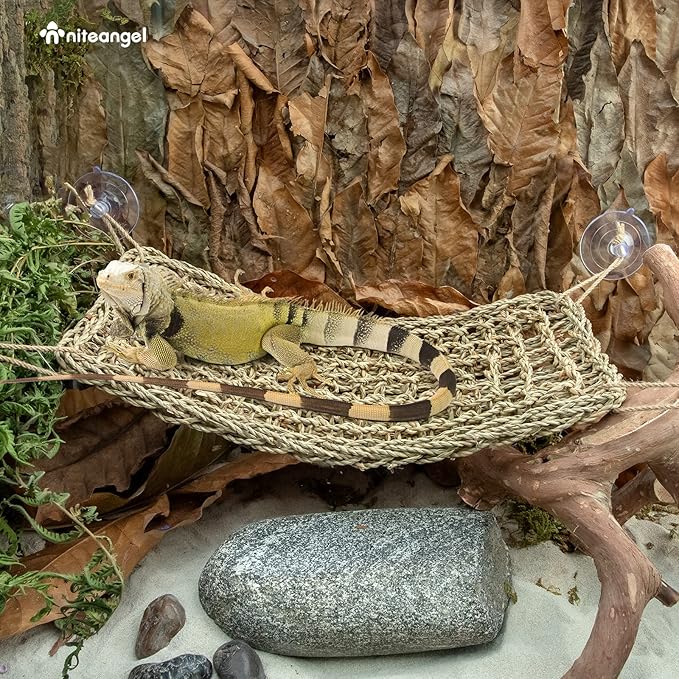 Niteangel Bearded Dragon Hammock Reptile Lounger for Chameleon, Lizards, Gecko, Snakes, Lguana Reptiles, Tortoises (Rectangle 16'' x 8'') Niteangel