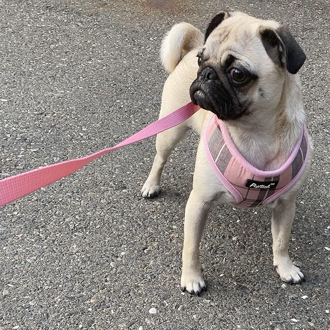 PUPTECK Soft Mesh Dog Harness and Leash Set Pet Puppy Cat Comfort Padded Vest No Pull Harnesses, Light Pink, S PUPTECK