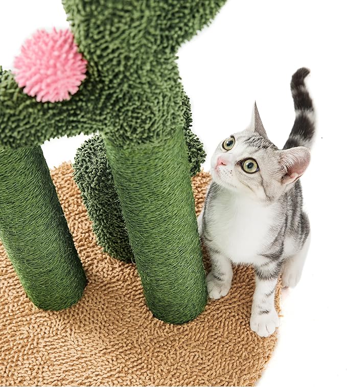 Pesofer Cactus Cat Scratching Post Cat Scratcher with 3 Scratching Poles, Flower Décor and Dangling Ball for Kitten, Adult Cats Large - PAWPICO