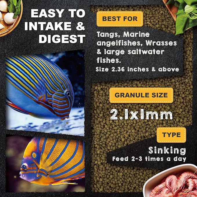 Ultra Fresh Marine Fish Food, 75% Sword Prawns + Squids, Natural Protein, Color Enhancement, for Large Saltwater Fish, Marine Shrimp Patties L 2.12oz UltraFresh-ShrimpDelight
