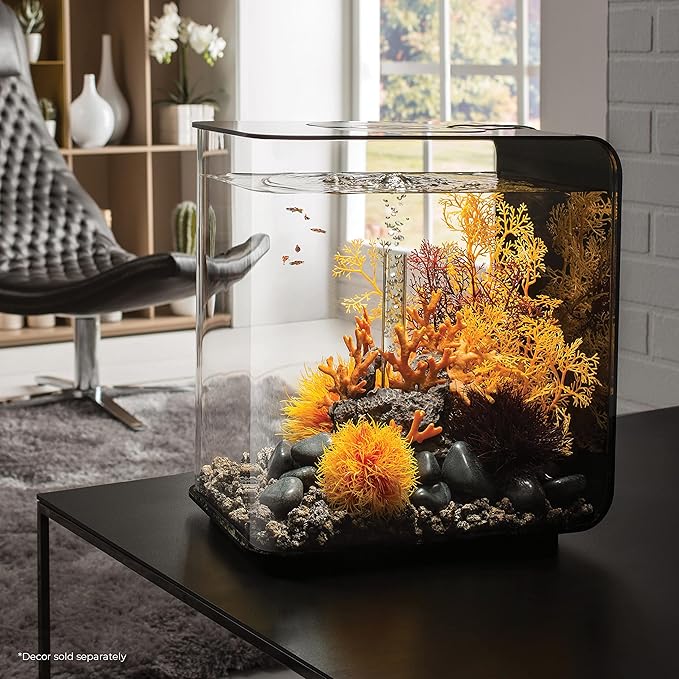biOrb Flow 30 Acrylic 8-Gallon Aquarium with White LED Lights Modern Tank for Tabletop Display, Black biOrb