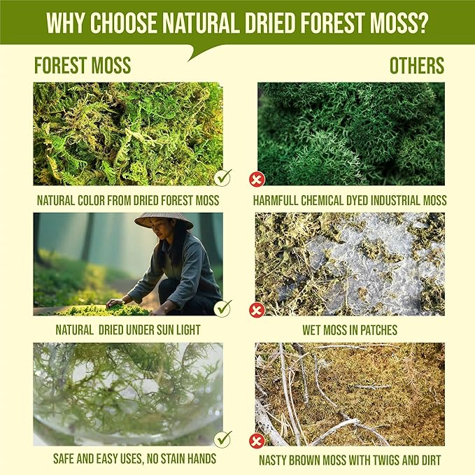 5Oz Moss for Reptiles, Moss for Terrarium, Sphagnum Moss, Reptile Bedding, Reptile Moss, Frog Moss, Snake Bedding, Moss for Turtle, Snail Substrate, Lizard Substrate, Substrate for Reptile Tank Gardenstory