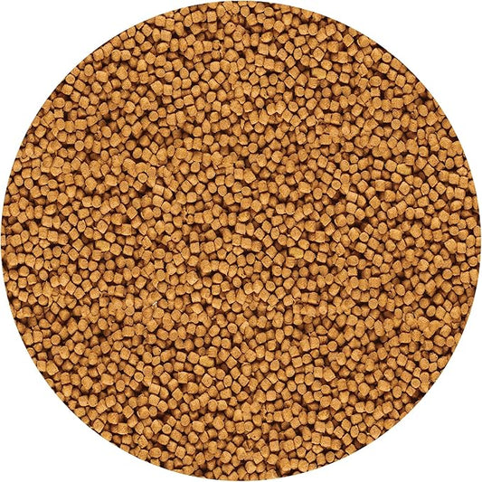 API POND COOL WATER FOOD Pond Fish Food 11-Ounce Container API