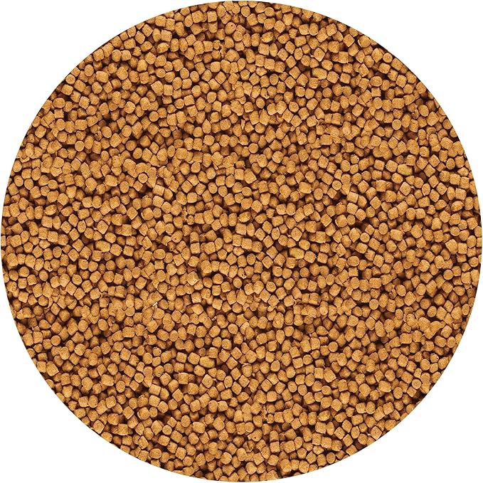 API POND COOL WATER FOOD Pond Fish Food 11-Ounce Container API
