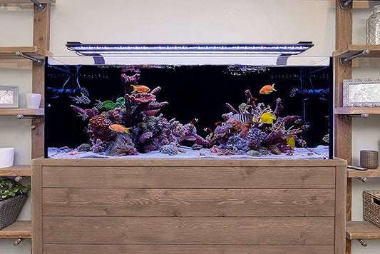 Current USA 36-48" Inch Orbit Marine LED Saltwater Reef Marine Aquarium Light | 24 Hour IR Lighting & eFlux Wave Pump Control | Adjustable Color Spectrum for Fish Tank (4102) Current+USA